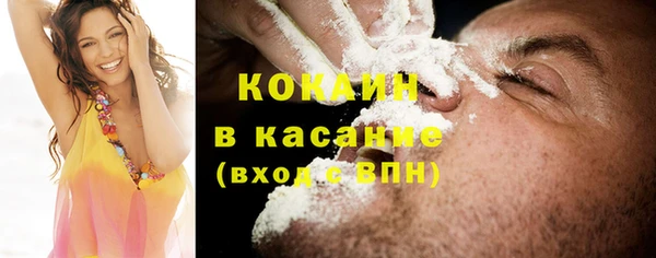 сатива Корсаков
