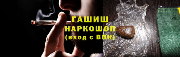 сатива Корсаков