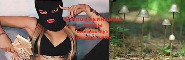 прущие грибы Киреевск