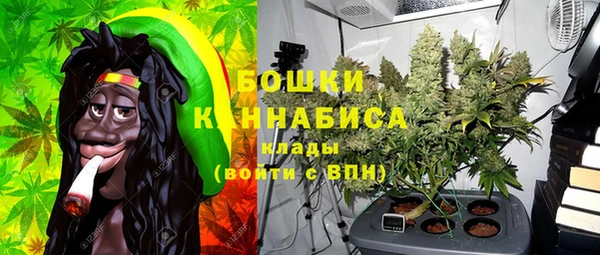 сатива Корсаков