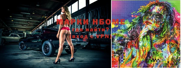 сатива Корсаков