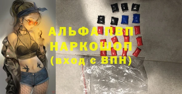 сатива Корсаков