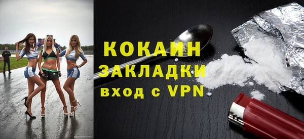 сатива Корсаков