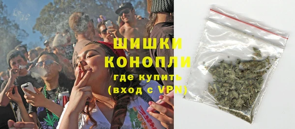 сатива Корсаков