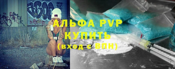 сатива Корсаков