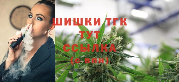 хмурый Кодинск